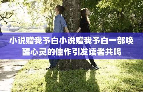 小说赠我予白小说赠我予白一部唤醒心灵的佳作引发读者共鸣