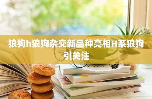 狼狗h狼狗杂交新品种亮相H系狼狗引关注