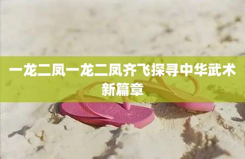 一龙二凤一龙二凤齐飞探寻中华武术新篇章