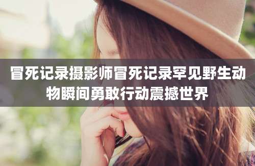 冒死记录摄影师冒死记录罕见野生动物瞬间勇敢行动震撼世界