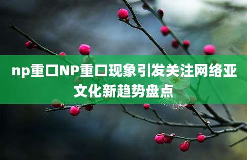 np重口NP重口现象引发关注网络亚文化新趋势盘点