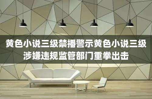 黄色小说三级禁播警示黄色小说三级涉嫌违规监管部门重拳出击