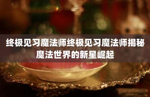 终极见习魔法师终极见习魔法师揭秘魔法世界的新星崛起