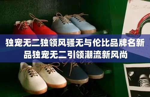 独宠无二独领风骚无与伦比品牌名新品独宠无二引领潮流新风尚