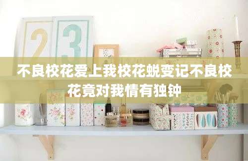 不良校花爱上我校花蜕变记不良校花竟对我情有独钟