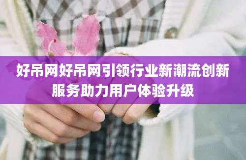 好吊网好吊网引领行业新潮流创新服务助力用户体验升级
