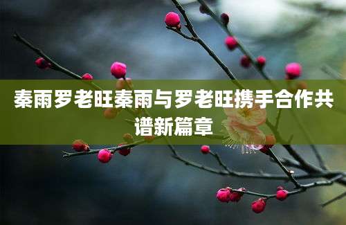 秦雨罗老旺秦雨与罗老旺携手合作共谱新篇章