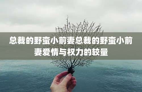 总裁的野蛮小前妻总裁的野蛮小前妻爱情与权力的较量