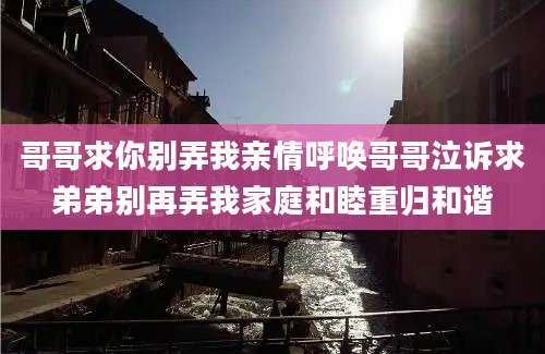哥哥求你别弄我亲情呼唤哥哥泣诉求弟弟别再弄我家庭和睦重归和谐