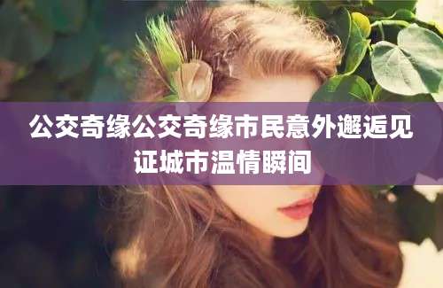 公交奇缘公交奇缘市民意外邂逅见证城市温情瞬间
