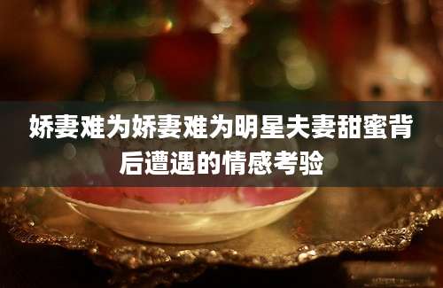 娇妻难为娇妻难为明星夫妻甜蜜背后遭遇的情感考验