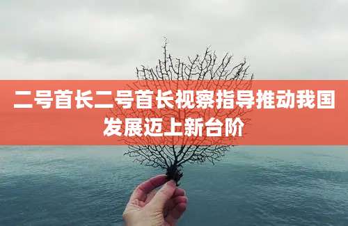 二号首长二号首长视察指导推动我国发展迈上新台阶