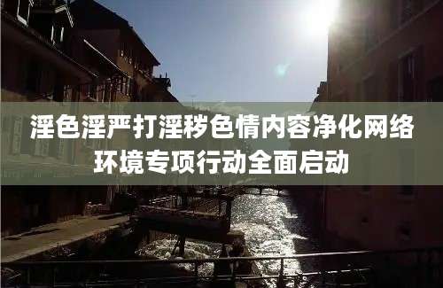 淫色淫严打淫秽色情内容净化网络环境专项行动全面启动