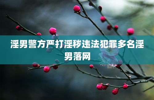 淫男警方严打淫秽违法犯罪多名淫男落网