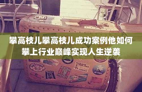 攀高枝儿攀高枝儿成功案例他如何攀上行业巅峰实现人生逆袭