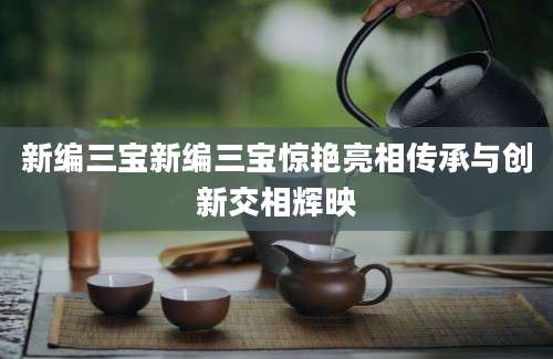 新编三宝新编三宝惊艳亮相传承与创新交相辉映