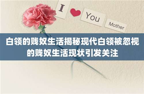 白领的贱奴生活揭秘现代白领被忽视的贱奴生活现状引发关注