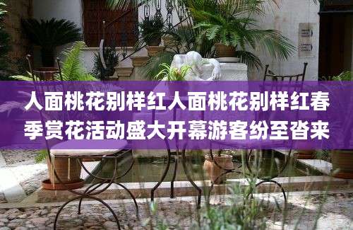 人面桃花别样红人面桃花别样红春季赏花活动盛大开幕游客纷至沓来