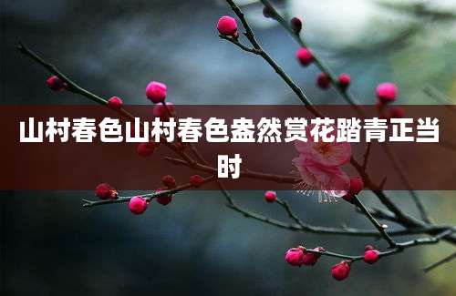 山村春色山村春色盎然赏花踏青正当时