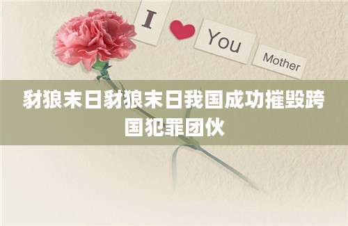 豺狼末日豺狼末日我国成功摧毁跨国犯罪团伙