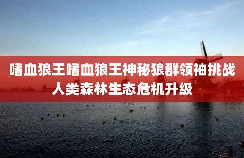 嗜血狼王嗜血狼王神秘狼群领袖挑战人类森林生态危机升级