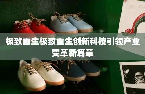 极致重生极致重生创新科技引领产业变革新篇章