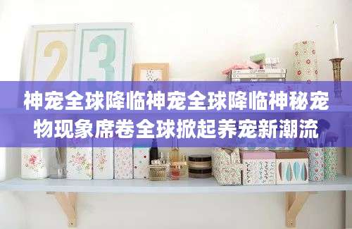 神宠全球降临神宠全球降临神秘宠物现象席卷全球掀起养宠新潮流