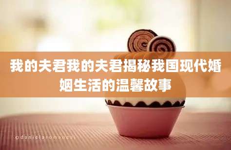 我的夫君我的夫君揭秘我国现代婚姻生活的温馨故事