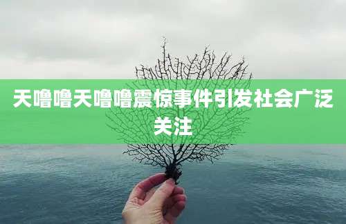 天噜噜天噜噜震惊事件引发社会广泛关注