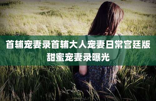 首辅宠妻录首辅大人宠妻日常宫廷版甜蜜宠妻录曝光