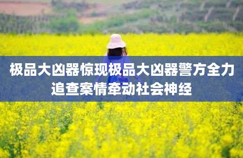 极品大凶器惊现极品大凶器警方全力追查案情牵动社会神经