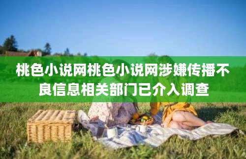 桃色小说网桃色小说网涉嫌传播不良信息相关部门已介入调查