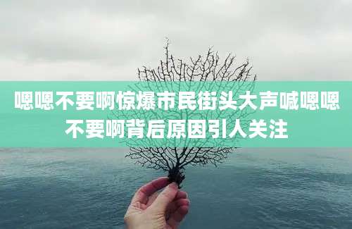 嗯嗯不要啊惊爆市民街头大声喊嗯嗯不要啊背后原因引人关注