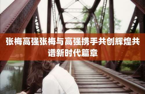 张梅高强张梅与高强携手共创辉煌共谱新时代篇章