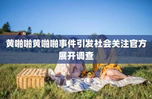 黄啪啪黄啪啪事件引发社会关注官方展开调查