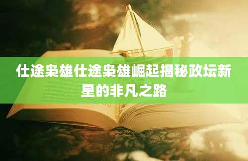 仕途枭雄仕途枭雄崛起揭秘政坛新星的非凡之路