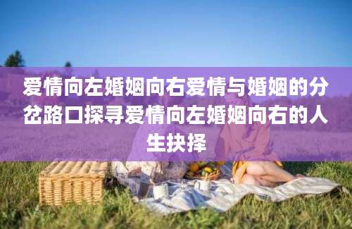 爱情向左婚姻向右爱情与婚姻的分岔路口探寻爱情向左婚姻向右的人生抉择