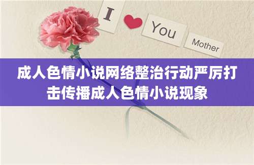成人色情小说网络整治行动严厉打击传播成人色情小说现象