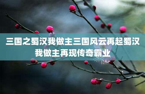 三国之蜀汉我做主三国风云再起蜀汉我做主再现传奇霸业