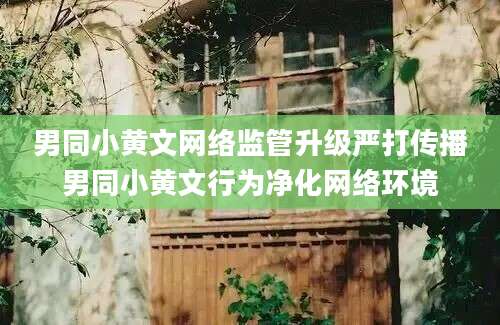 男同小黄文网络监管升级严打传播男同小黄文行为净化网络环境