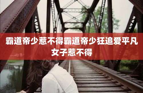 霸道帝少惹不得霸道帝少狂追爱平凡女子惹不得