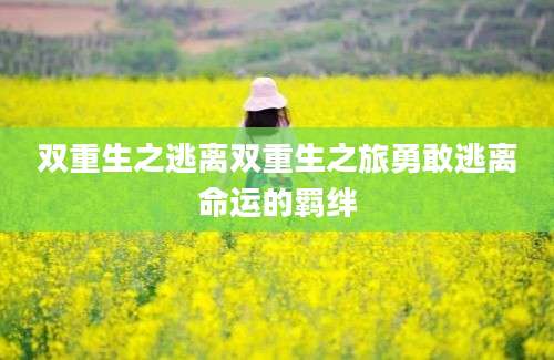 双重生之逃离双重生之旅勇敢逃离命运的羁绊