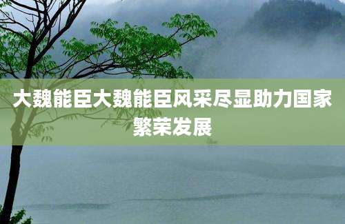 大魏能臣大魏能臣风采尽显助力国家繁荣发展