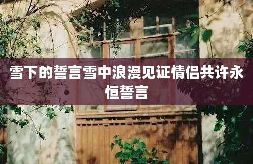 雪下的誓言雪中浪漫见证情侣共许永恒誓言