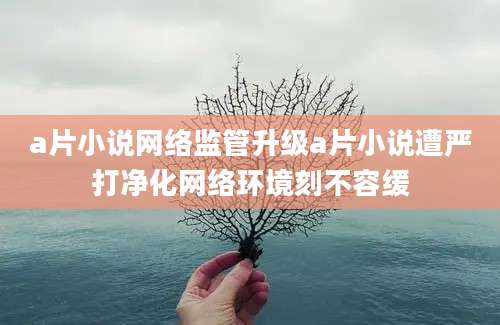 a片小说网络监管升级a片小说遭严打净化网络环境刻不容缓