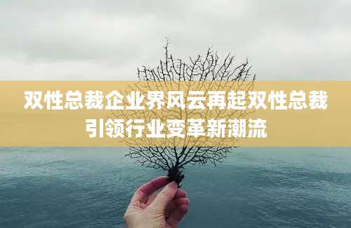 双性总裁企业界风云再起双性总裁引领行业变革新潮流