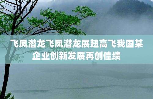 飞凤潜龙飞凤潜龙展翅高飞我国某企业创新发展再创佳绩