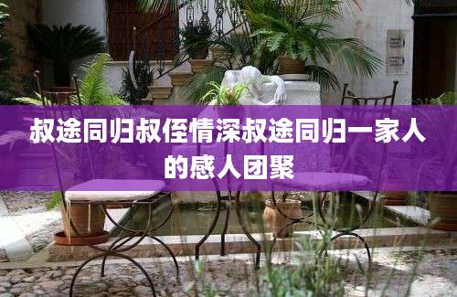 叔途同归叔侄情深叔途同归一家人的感人团聚