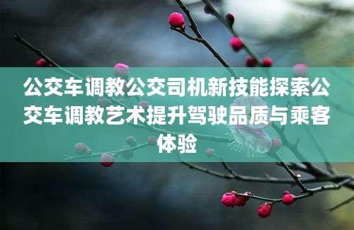 公交车调教公交司机新技能探索公交车调教艺术提升驾驶品质与乘客体验