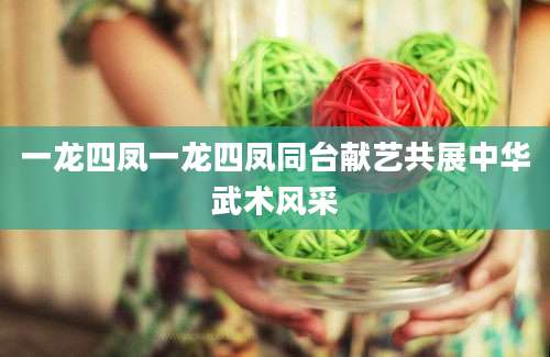 一龙四凤一龙四凤同台献艺共展中华武术风采
